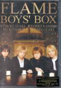 Flame - Boys Box VCD
