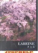 Lareine - Sakura