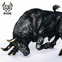 J - Ride (Japan Import)