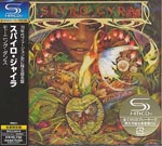 Spyro Gyra - Morning Dance [SHM-CD] [Limited Release] (Japan Import)