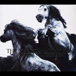 Yellow Monkey - THE YELLOW MONKEY MOTHER OF ALL THE BEST [Regular Edition] (Japan Import)
