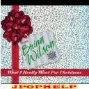 Brian Wilson - What Really Want For Christmas (Japan Import)