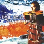 David Boyles - Southern Fried (Japan Import)