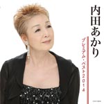 Uchida Akari - Uchida Akari Premium Best 2014 (Japan Import)