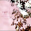 Kasumi Duki - Tagawanu Mi to Fusoku no Kajitsu (Japan Import)