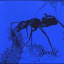 Smells - FROZEN (Japan Import)