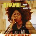 N'dambi - A Weird Kinda Wonderful (Japan Import)