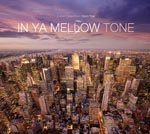 V.A. - In Ya Mellow Tone 5 (Japan Import)