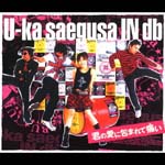 U-ka Saegusa in db - Kimi no Ai ni Tsutsumarete Itai (Japan Import)