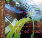 Junko Iwao - for my friends, with my friend (Japan Import)