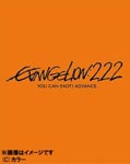 Animation - Evangelion: 2.22 You Can (Not) Advance. (Evangelion New Theatrical Movie: Ha) DVD (Japan Import)