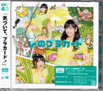 AKB48 - Kokoro no Placard [w/ DVD & Photo card, Limited Edition / Type C] JAPAN