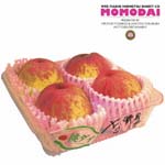 Radio CD (Hiroyuki Yoshino, Makoto Yasumura) - Web Radio Momotsu Digest CD: Momodai Yoshino Ban (Japan Import)