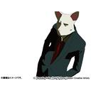 Animation (Flash Animation) - CATMAN DVD (Japan Import)