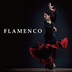 V.A. - Kettei Ban!! Flamenco Best (Japan Import)