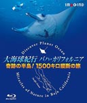 Documentary - Daikaikyukiko Baha California - Kiseki no Hanto! 1500km Odan no Tabi - [Blu-ray+DVD] BLU-RAY (Japan Import)
