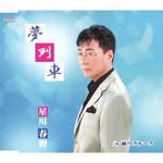 Haruki Hoshikawa - New CD: Title is to be announced (Japan Import)
