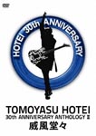 Tomoyasu Hotei - 30th Anniversary Anthology II "Ifu Dodo" DVD (Japan Import)