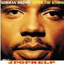 Norman Brown - AFTER THE STORM +1 (Japan Import)