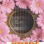 MUCC -