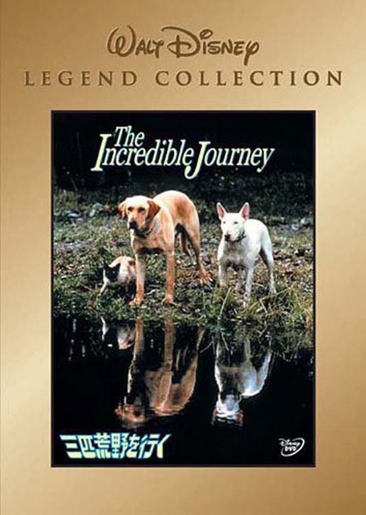 Download the incredible journey 1963