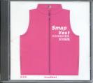 SMAP - Vest Complete Best Album 2 CDs (Preowned)